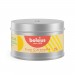 Citronella Travel Candle in Tin